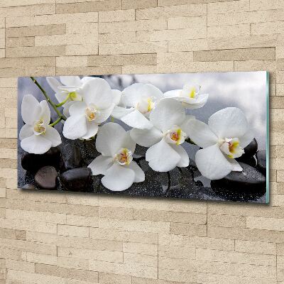 Foto op plexiglas Orchidee
