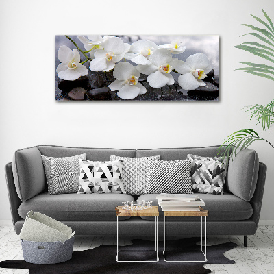 Foto op plexiglas Orchidee