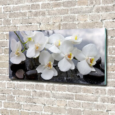 Foto op plexiglas Orchidee