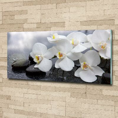 Foto plexiglas Orchidee