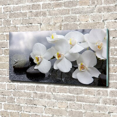 Foto plexiglas Orchidee