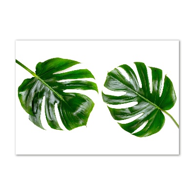 Foto op plexiglas Tropische bladeren