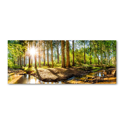 Plexiglas schilderij Panorama van het bos
