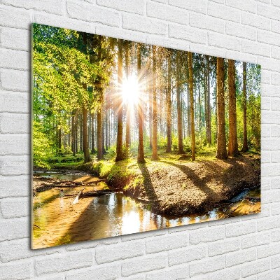 Plexiglas schilderij Panorama van het bos