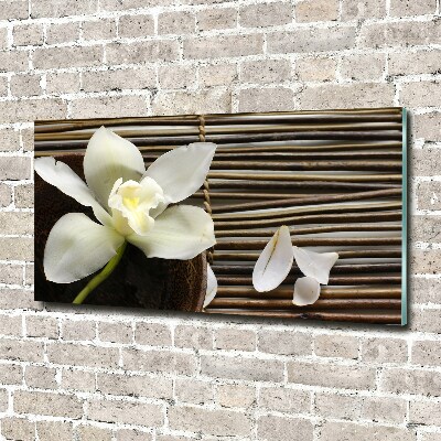 Schilderij op acrylglas Orchidee