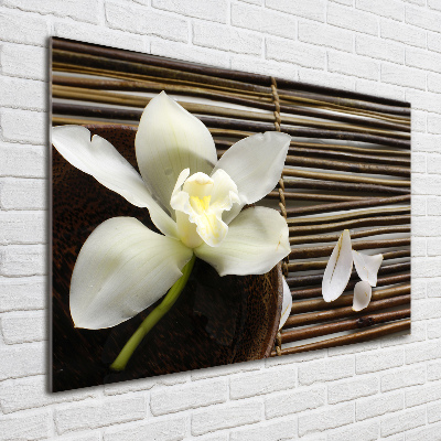 Schilderij op acrylglas Orchidee