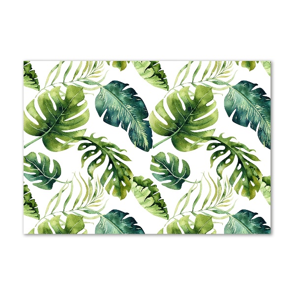 Foto plexiglas Tropische bladeren