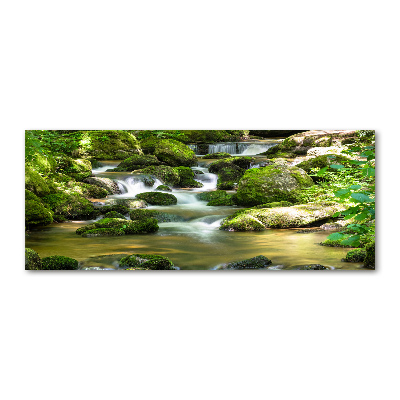 Schilderij op acrylglas Waterval