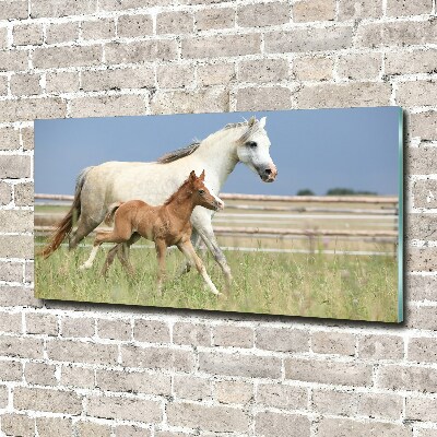 Schilderij op acrylglas Merrie met veulen