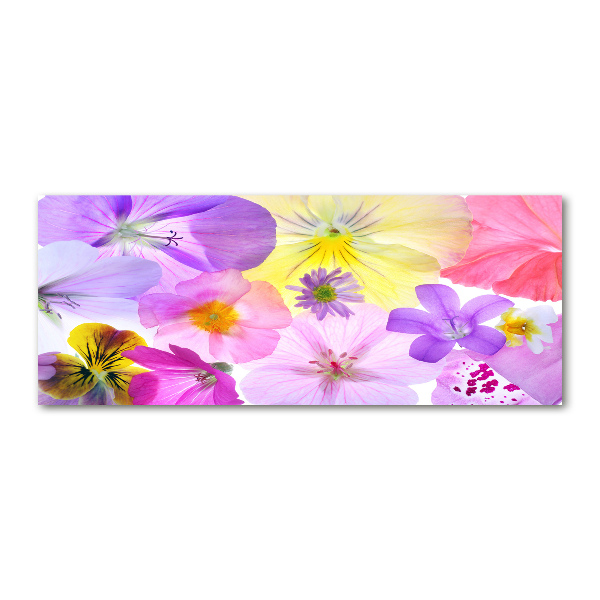 Foto plexiglas Viooltjes