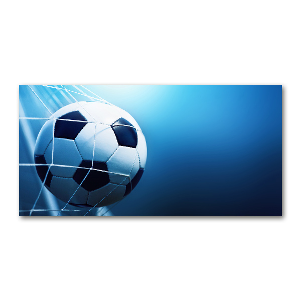 Plexiglas foto De bal ligt in het doel.