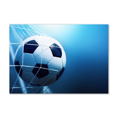 Plexiglas foto De bal ligt in het doel.