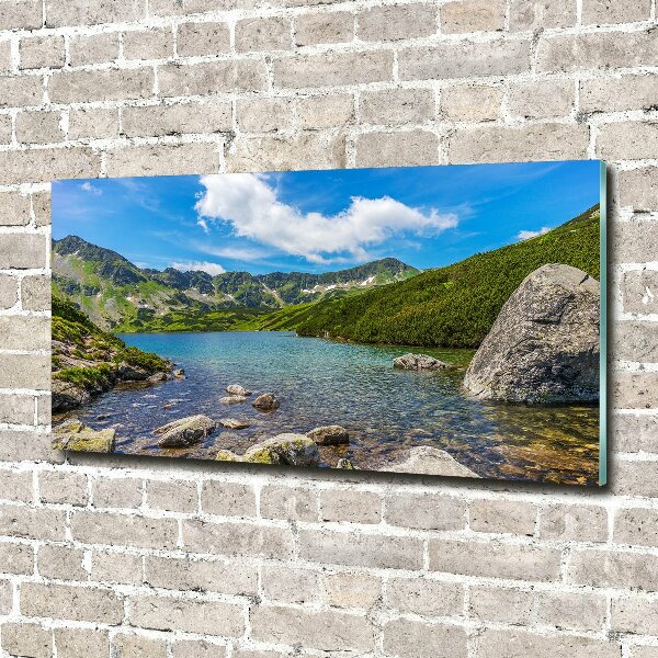 Plexiglas schilderij Tatra-vallei