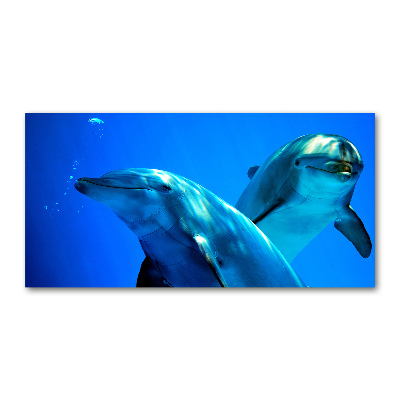 Schilderij op acrylglas Twee dolfijnen