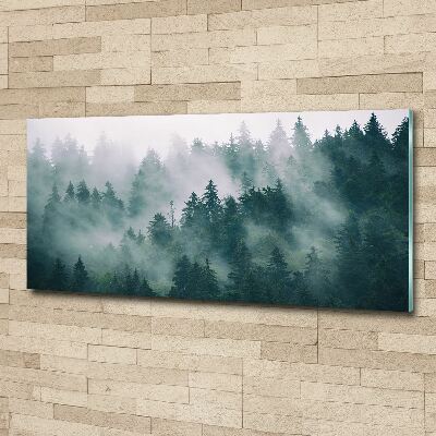 Schilderij op acrylglas Mist boven het bos