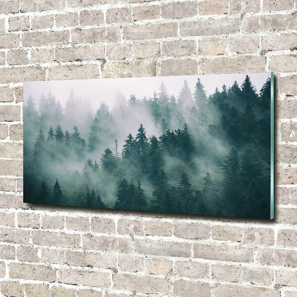 Schilderij op acrylglas Mist boven het bos