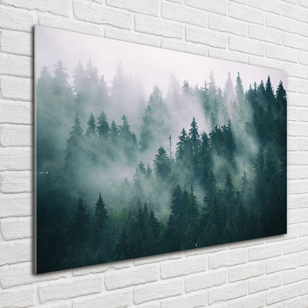 Schilderij op acrylglas Mist boven het bos