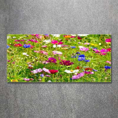 Foto in plexiglas Wilde bloemen