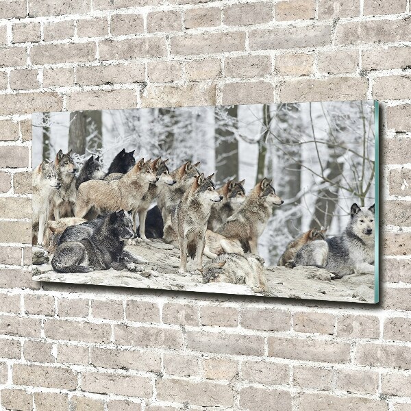Foto op plexiglas Wolven in de winter