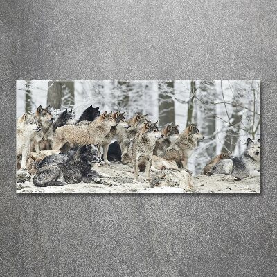 Foto op plexiglas Wolven in de winter