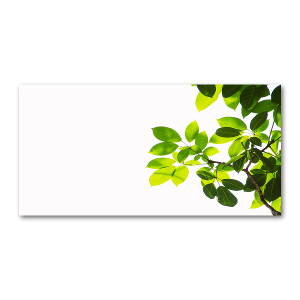 Plexiglas schilderij Bladeren