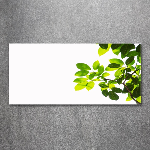 Plexiglas schilderij Bladeren