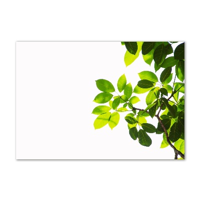 Plexiglas schilderij Bladeren