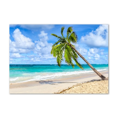Schilderij op acrylglas Tropisch strand