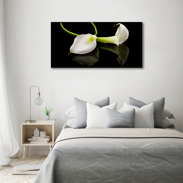 Foto op plexiglas Calla