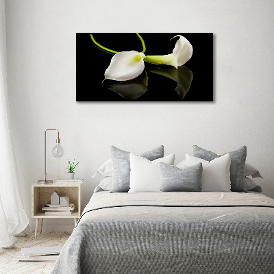 Foto op plexiglas Calla