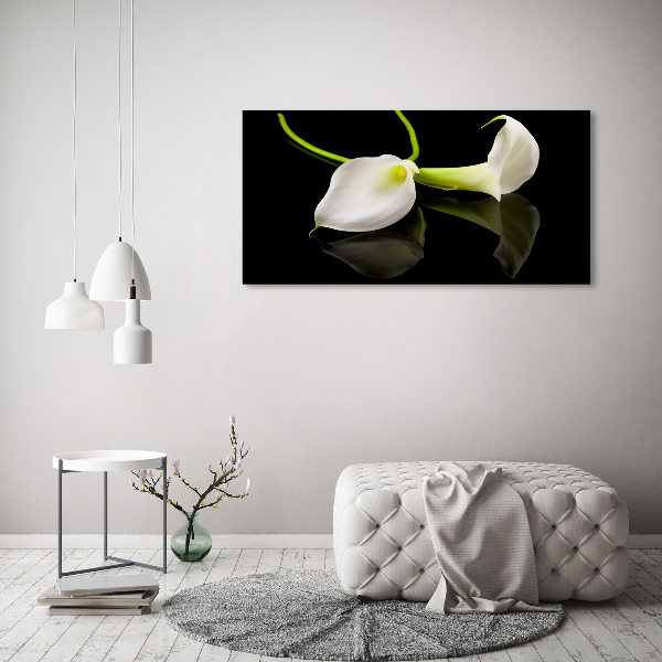 Foto op plexiglas Calla