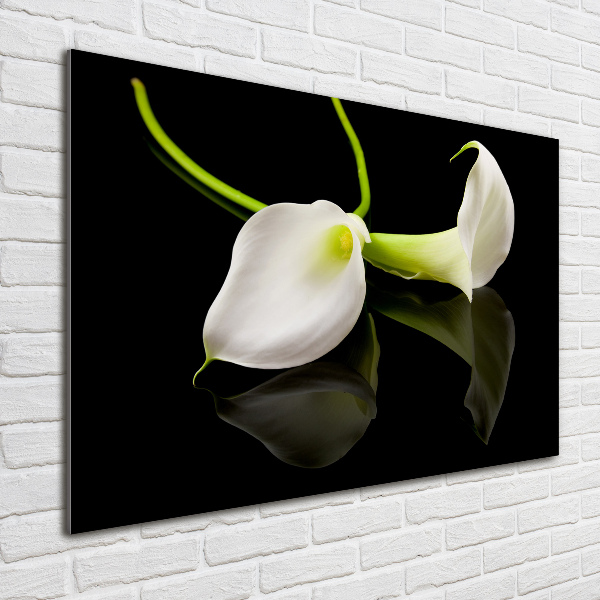 Foto op plexiglas Calla