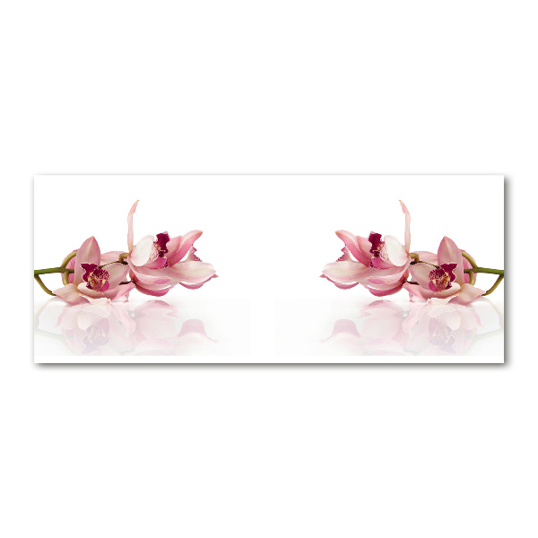 Plexiglas foto Orchidee