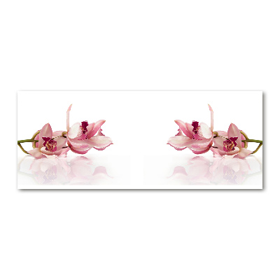 Plexiglas foto Orchidee