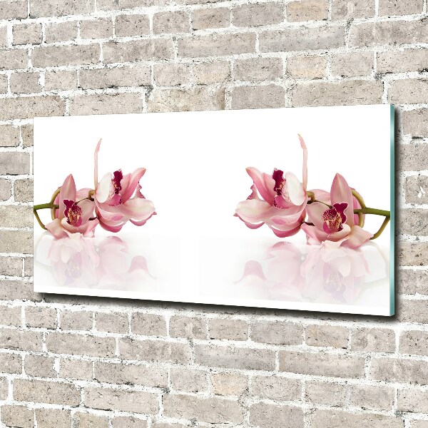 Plexiglas foto Orchidee