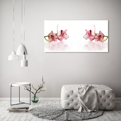 Plexiglas foto Orchidee