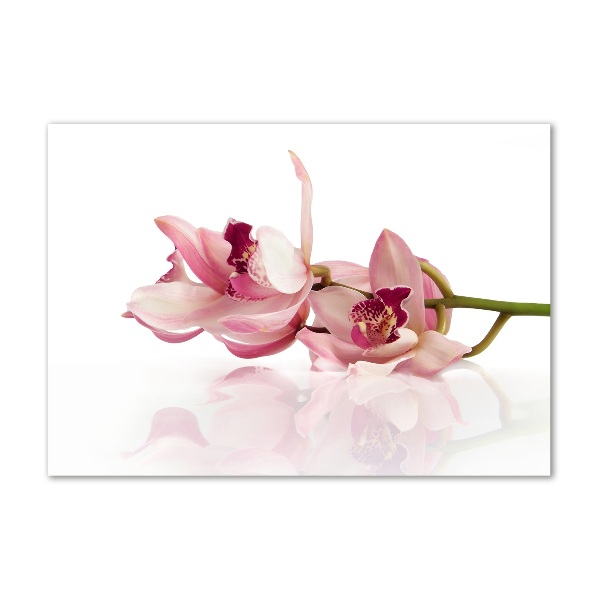 Plexiglas foto Orchidee