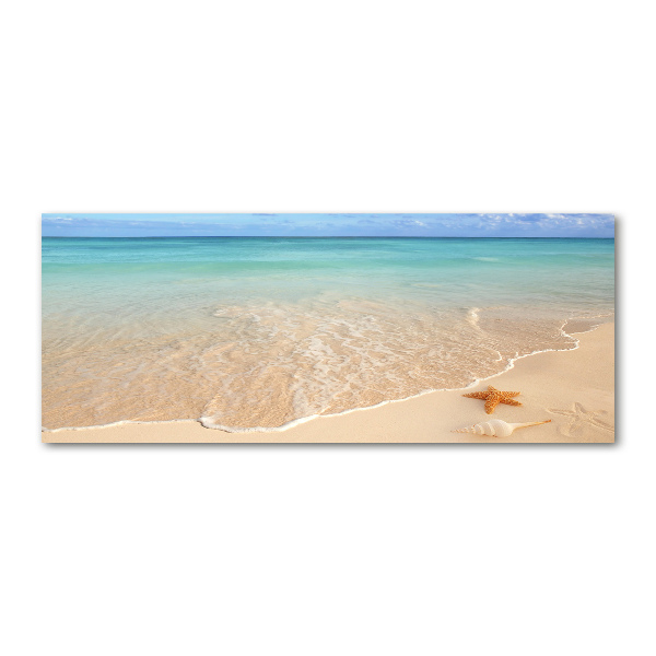 Plexiglas schilderij Zeesterren op het strand