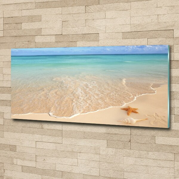 Plexiglas schilderij Zeesterren op het strand