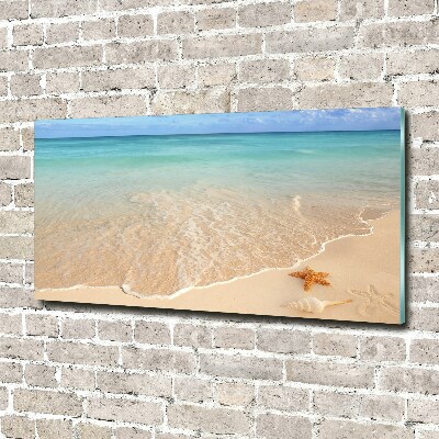 Plexiglas schilderij Zeesterren op het strand
