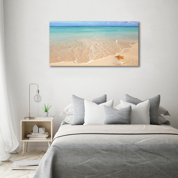 Plexiglas schilderij Zeesterren op het strand