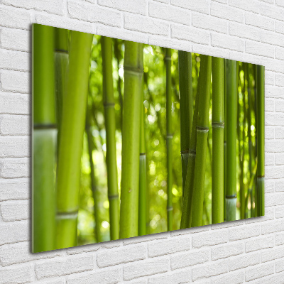 Plexiglas schilderij Bamboe