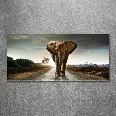 Plexiglas foto Lopende olifant