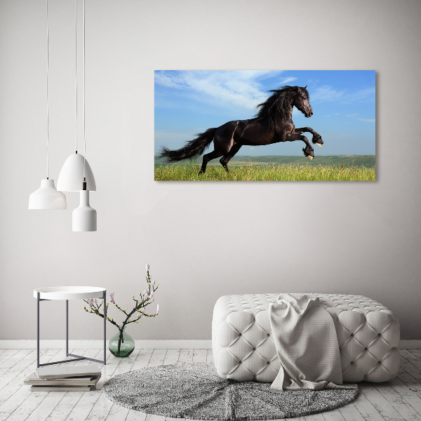 Foto plexiglas Zwart paard in de wei