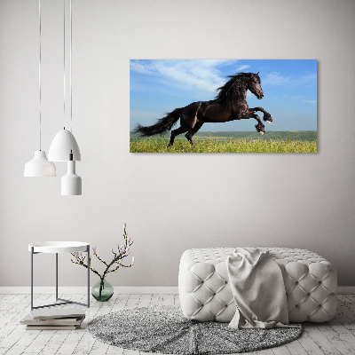 Foto plexiglas Zwart paard in de wei