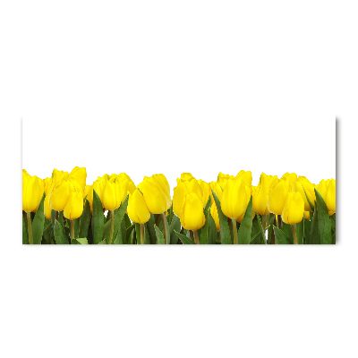 Foto op plexiglas Gele tulpen