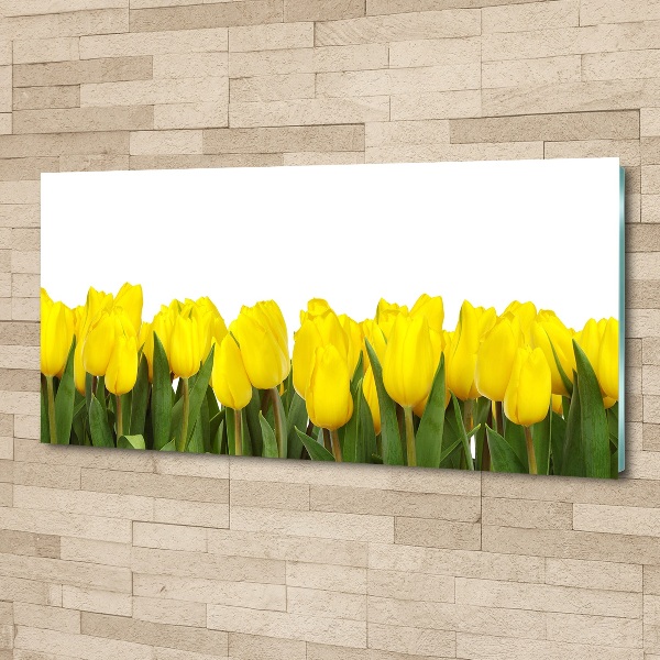 Foto op plexiglas Gele tulpen