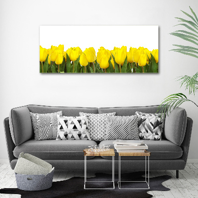 Foto op plexiglas Gele tulpen