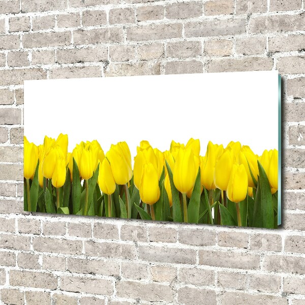 Foto op plexiglas Gele tulpen