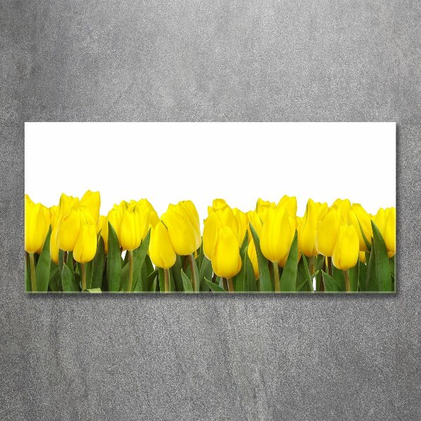 Foto op plexiglas Gele tulpen